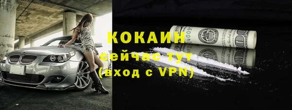 дживик Богородицк