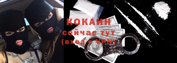 дживик Богородицк