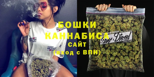 дживик Богородицк