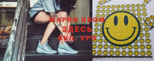дживик Богородицк