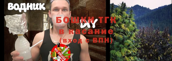 дживик Богородицк