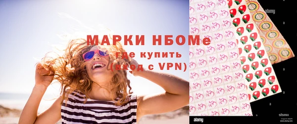 дживик Богородицк