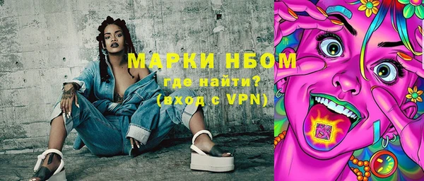 дживик Богородицк