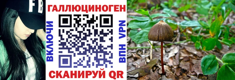 Галлюциногенные грибы Cubensis  как найти закладки  MEGA ссылка  Рубцовск 